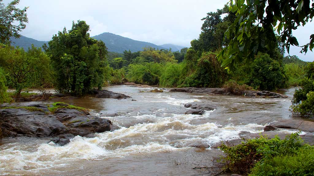  View of Bhoothathankettu Dam in Ernakulam