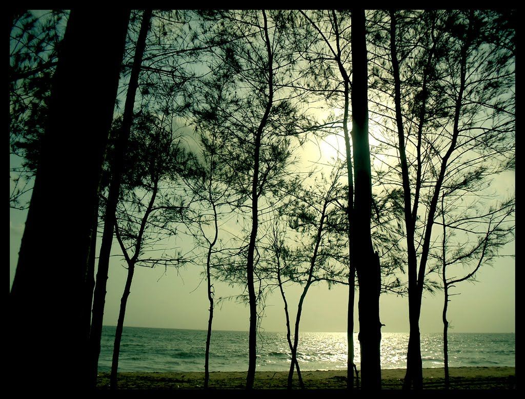 Cherai Beach Kochi Ernakulam  