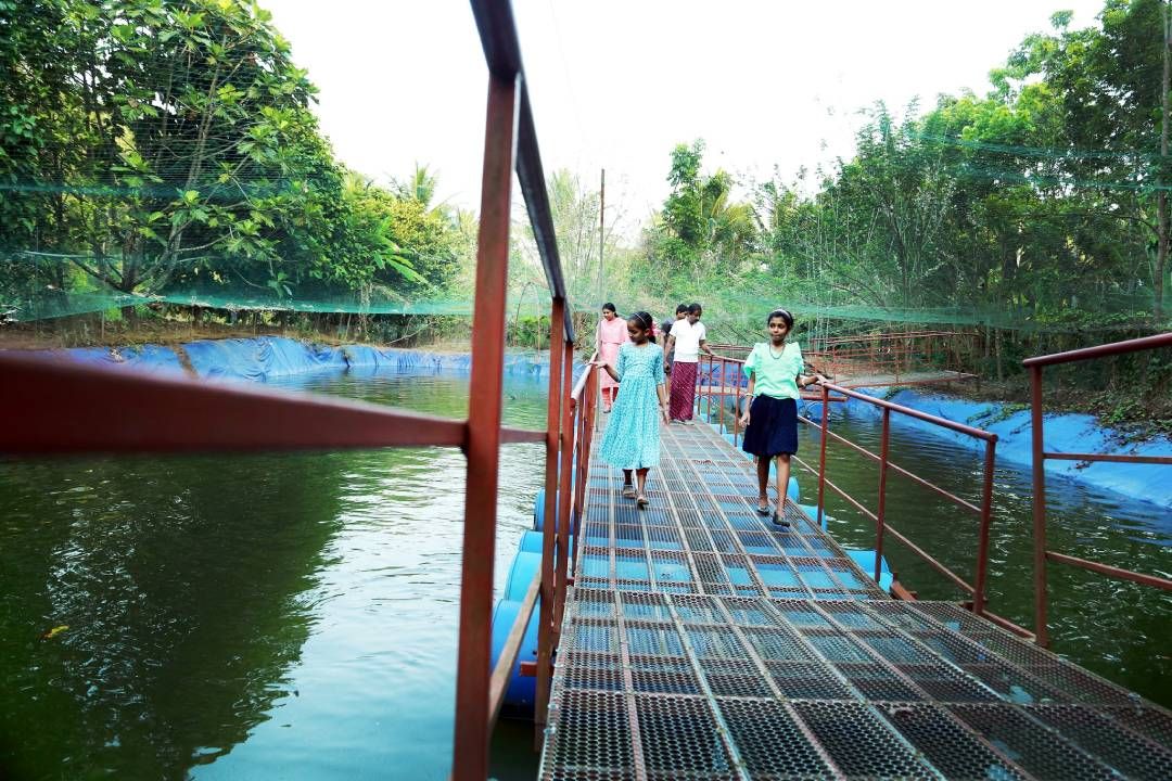 Haritha Bio-park Panamkuzhy Ernakulam