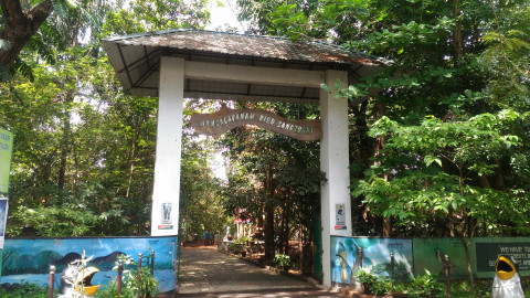 Mangalavanam Bird Sanctuary  Ernakulam