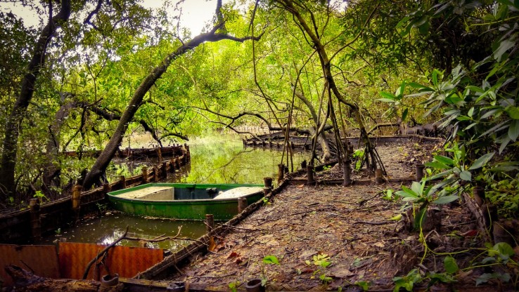 green lung of Kochi Ernakulam