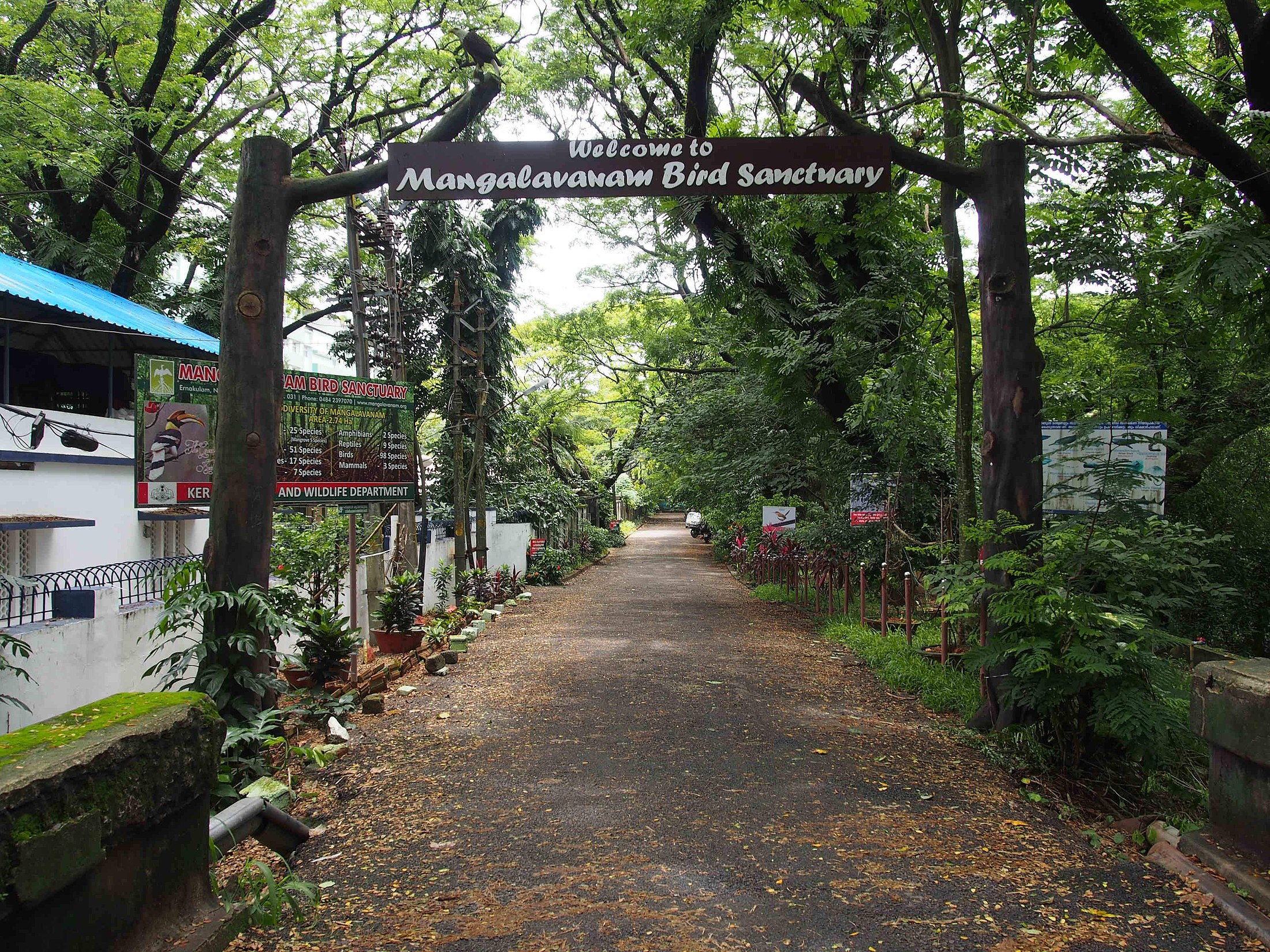 Mangalavanam Bird Sanctuary Koch