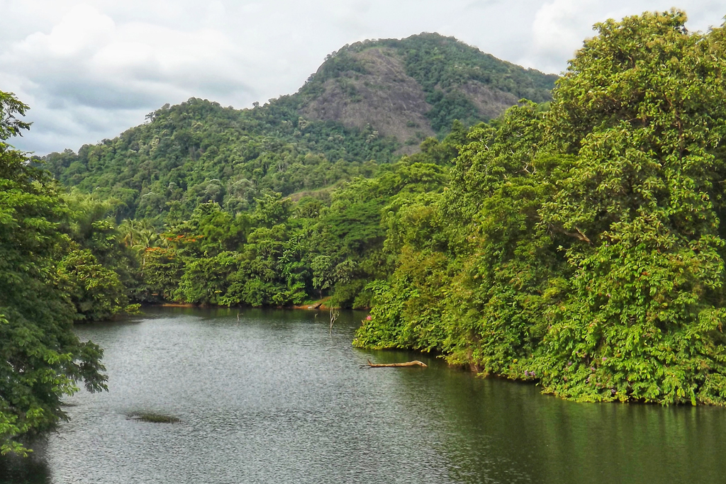 Thattekkad Bird Sanctuary Kochi Transpotation