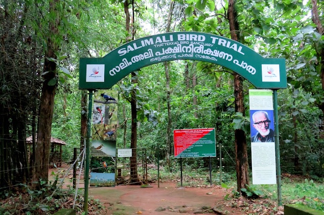 Thattekkad Bird Sanctuary